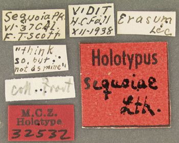Media type: image;   Entomology 32532 Aspect: labels